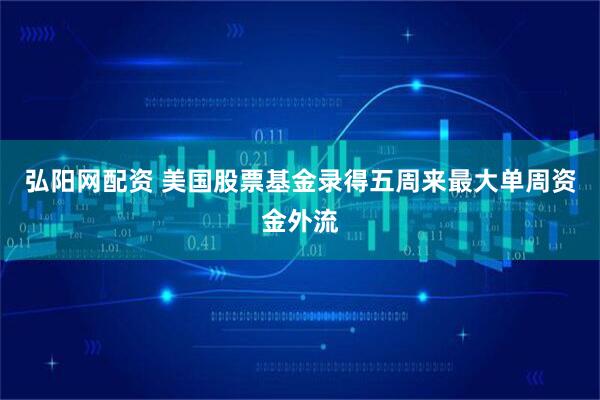 弘阳网配资 美国股票基金录得五周来最大单周资金外流