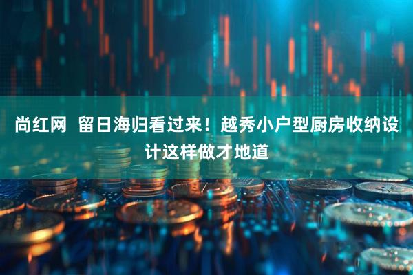 尚红网  留日海归看过来！越秀小户型厨房收纳设计这样做才地道