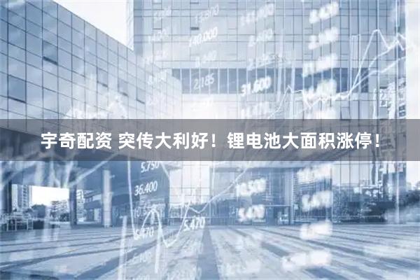 宇奇配资 突传大利好！锂电池大面积涨停！